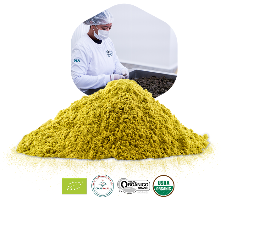 Professional presenting green propolis powder